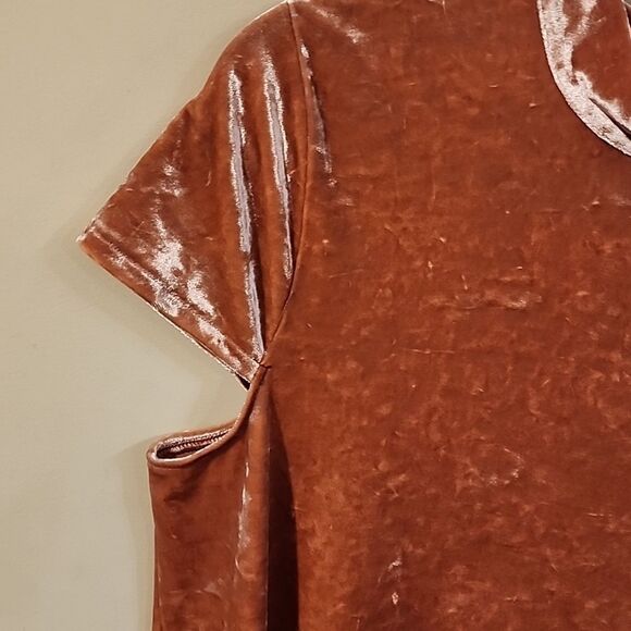 Beautiful crushed velvet dress 👗 Madewell - Picture 3 of 6
